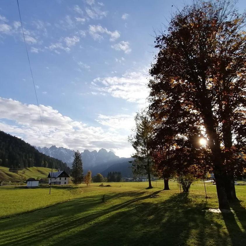 Haus Gruenwald Gosau Exterior foto